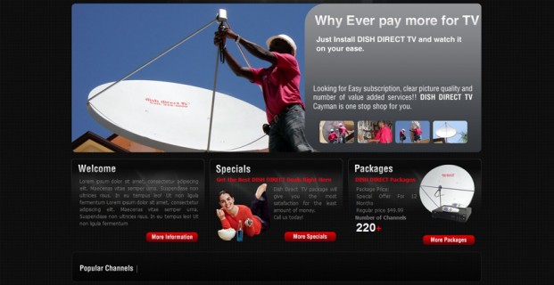 Dish Direct TV